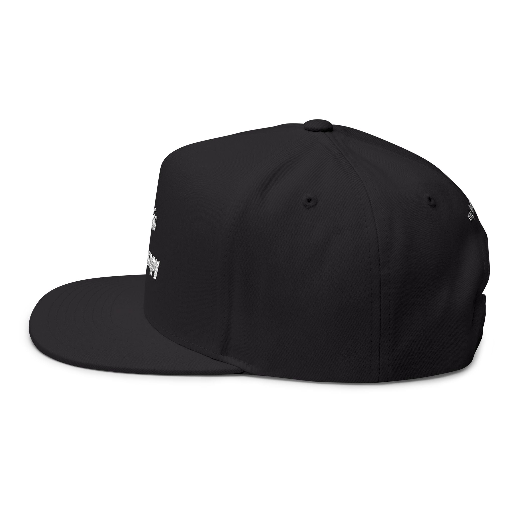 "Polo Is My Therapy" — Embroidered Flat Bill Cap