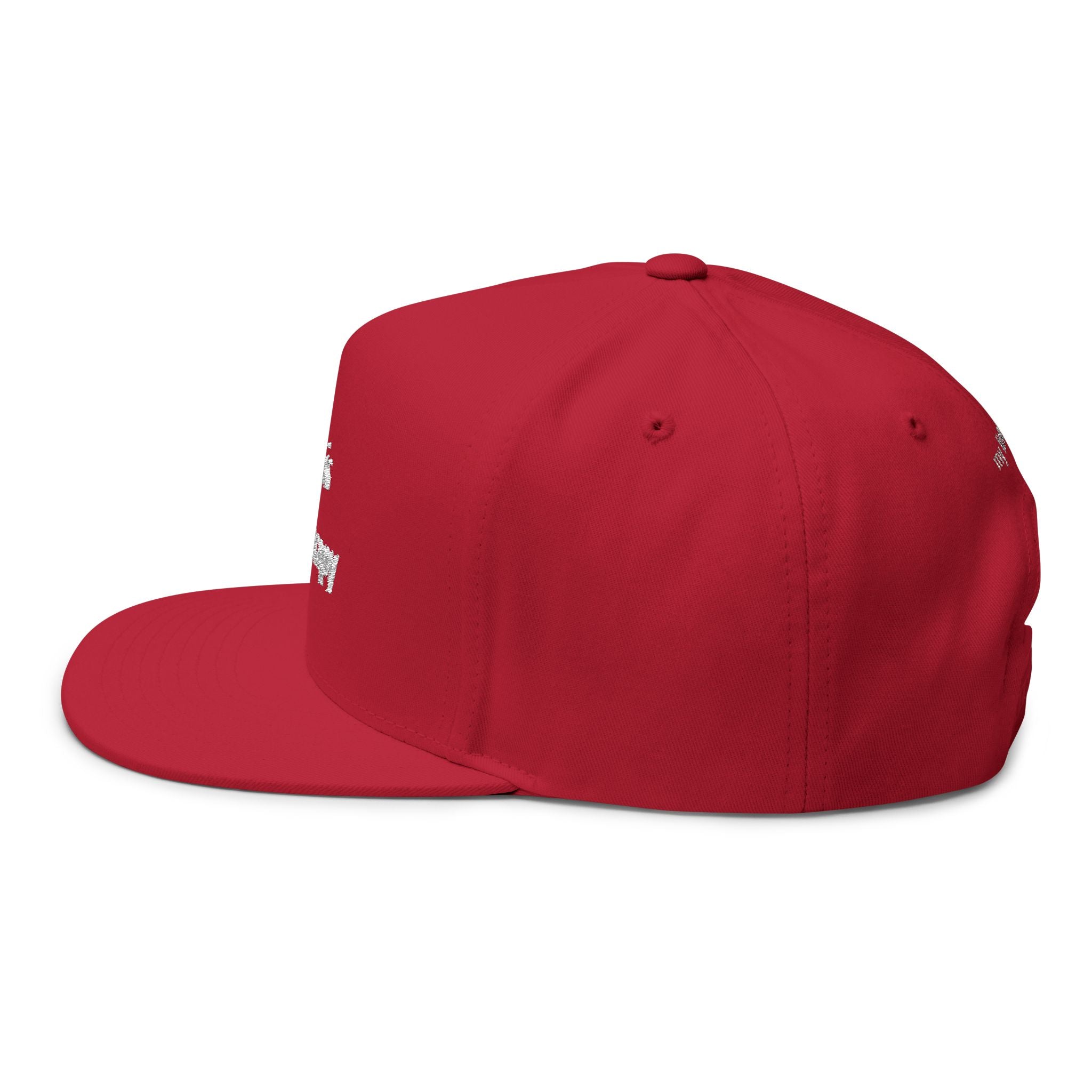 "Polo Is My Therapy" — Embroidered Flat Bill Cap